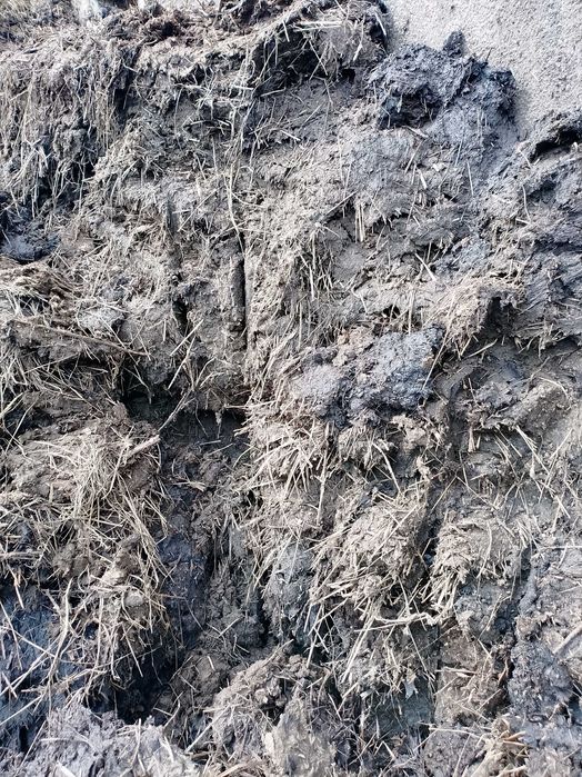 sprzedam obornik bydlęcy