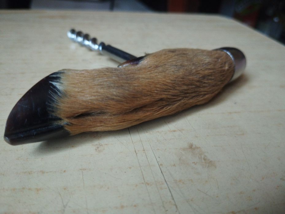 Korkociąg z sarnim kopytkiem