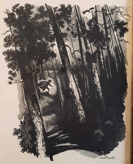 Chrostowski Leśny Wędrowiec Drzeworyt