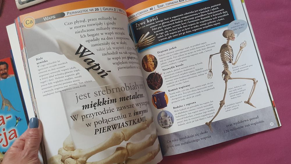 Robert Winston Rewolucja ewolucja Co się dzieje w mojej głowie