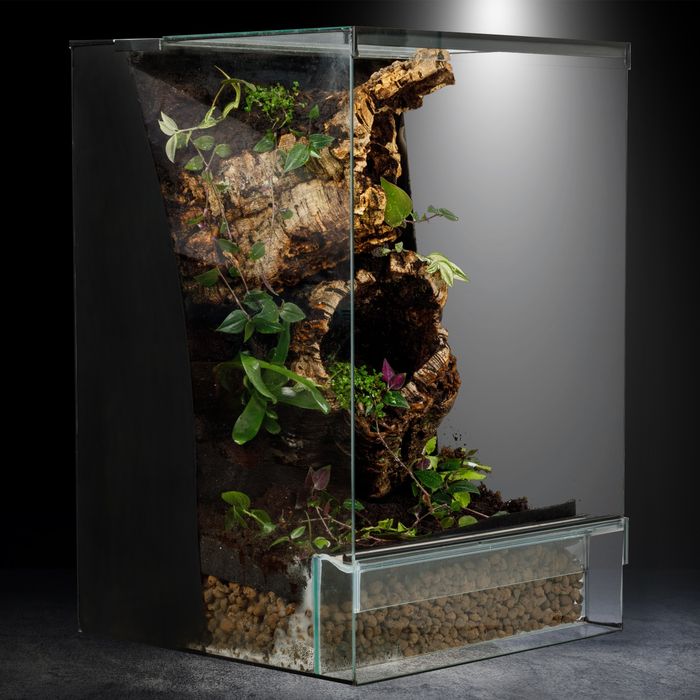 Terrarium tropikalne 40x40x60 gekon paludarium