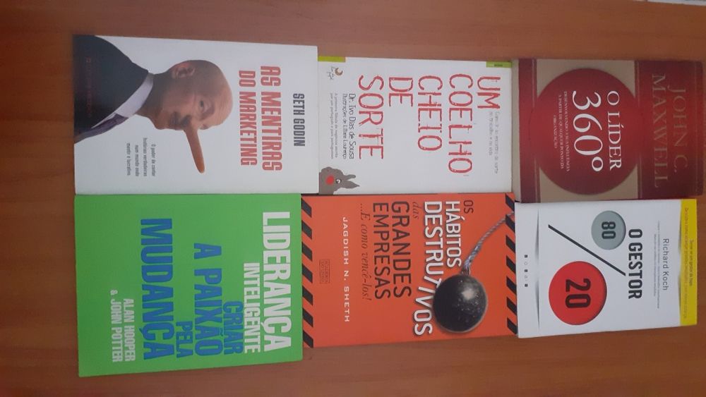 Literatura sobre economia e gestão