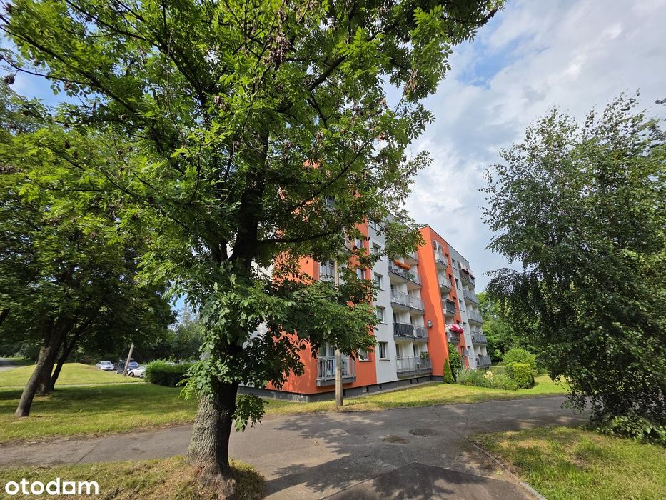| Niskie piętro | Balkon | Ustawne duże pokoje |