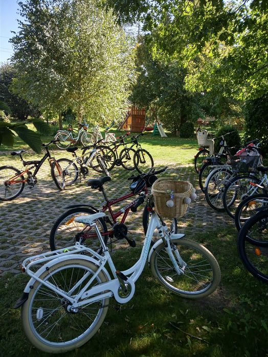 Agroturystyka Chata Pod Dębami, całoroczna, 80 km od Warszawy