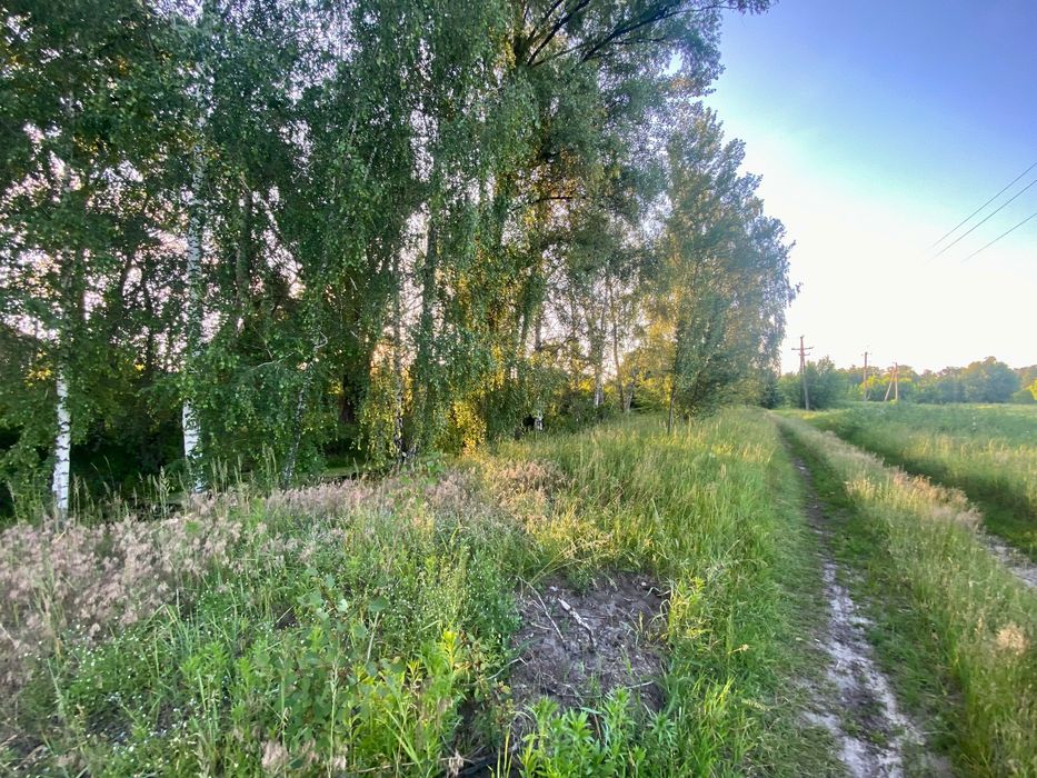 продам земельну ділянку 20 сот Київська Вишгородський Жукин