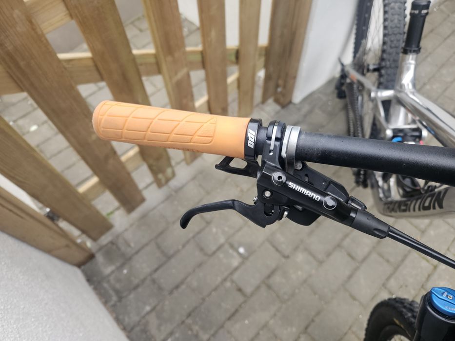 Bicicleta Enduro Transition Sentinel 29 Custom Raw