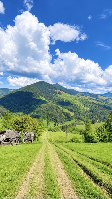 2 гектари в серці Карпат — земля під забудову у Криворівні