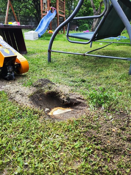 Frezowanie pni, usuwanie karp