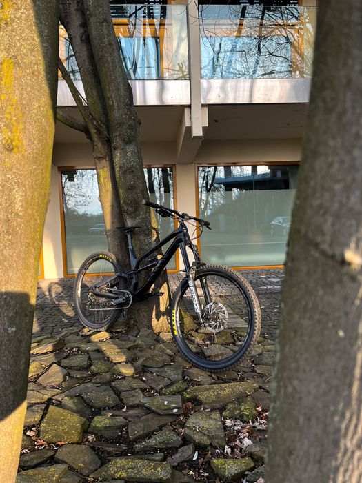 Rower Górski Canyon Torque 2021