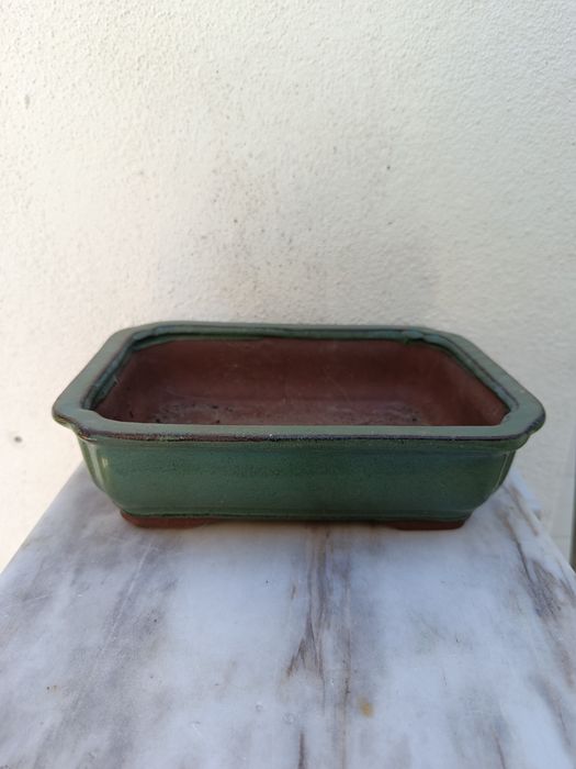 Vaso Bonsai Verde
