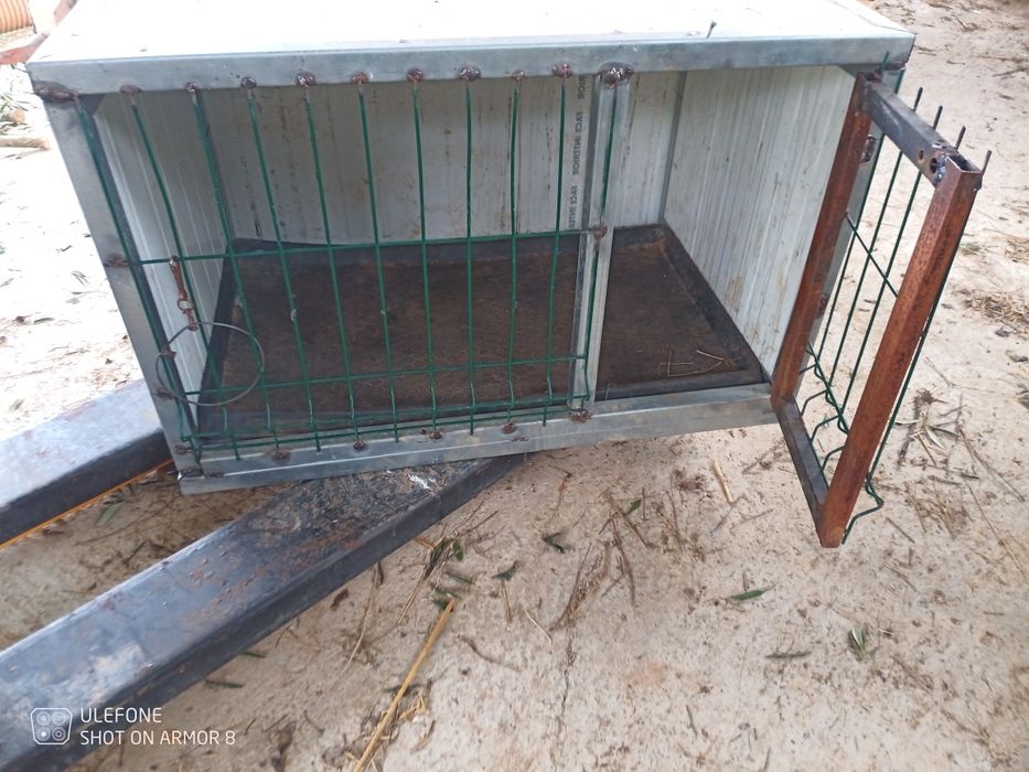 Caixa transporte de cães