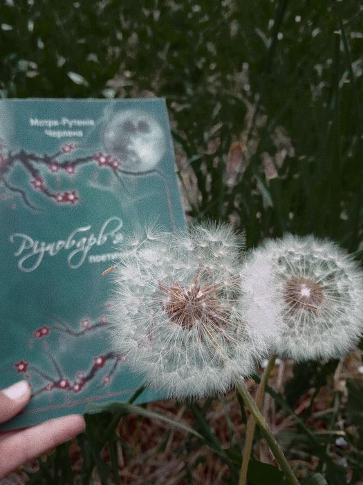 Збірка віршів "Різнобарв'я поетичної душі"