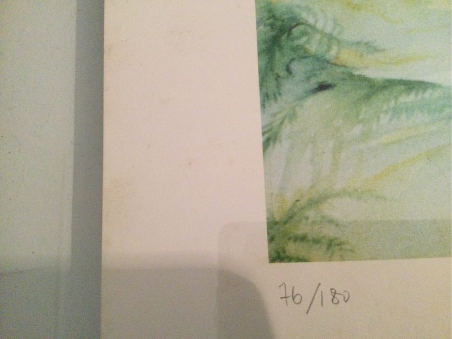 Serigrafia “O gato vegetal”