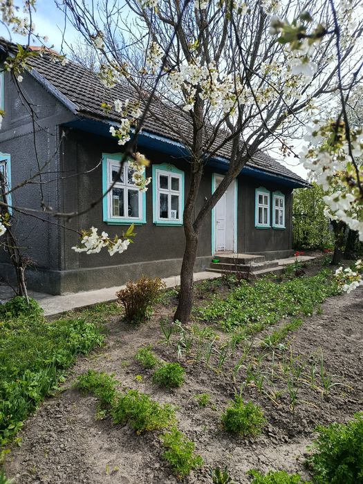 Продаж господарства у Чорнівці (14км до Чернівців)