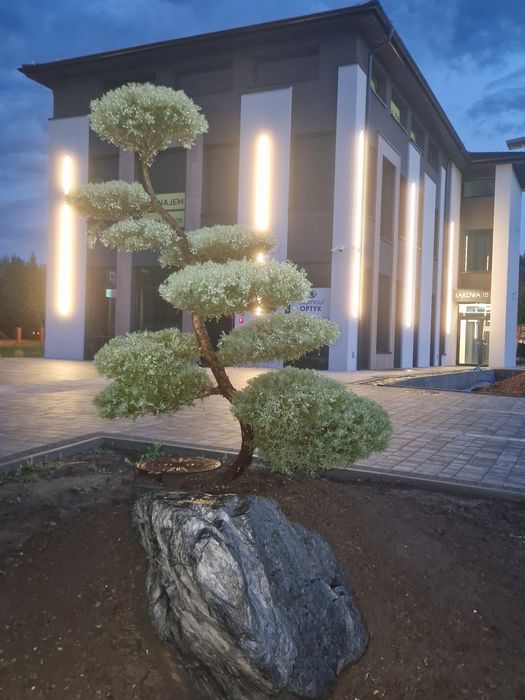 Lokale, biura Premium  Wieliczka przy Atut od 65m2