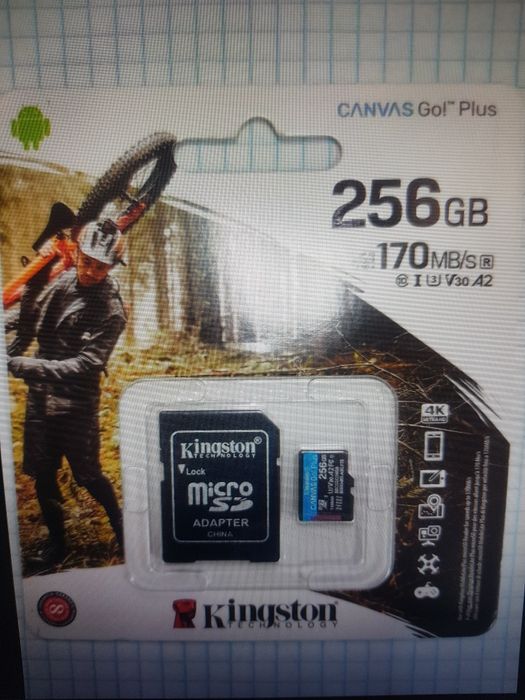 Kingston Canvas Go Plus 256gb