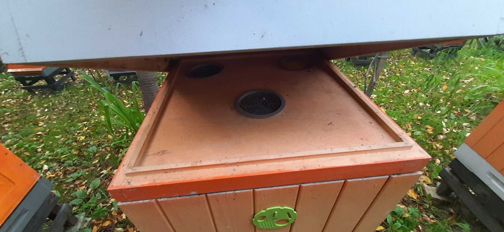 Sprzedam ule wielkopolskie