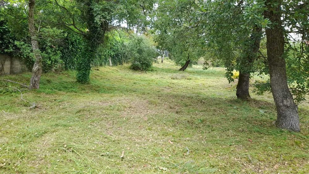 Serviços de jardinagem e limpeza de matos e terrenos