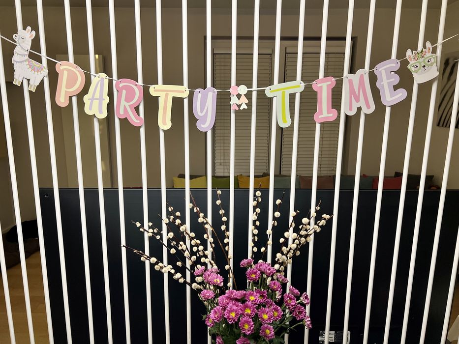 Girlanda Lama Alpaka Party Time