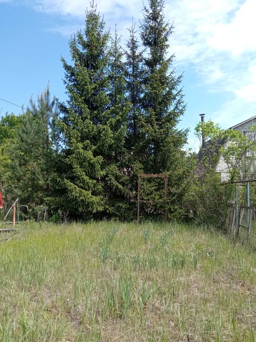 Продам дачний будинок в СТ Лісовий