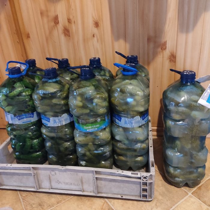Sprzedam ogórki kiszone 5l bańki