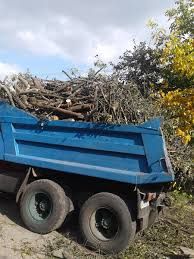 Демонтаж, земляные работы, вывоз мусора... Быстро без нервотрёпки!