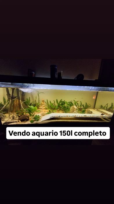 Aquario de 150l completo