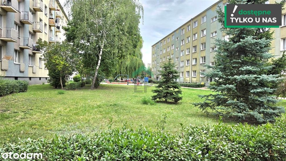 Kawalerka Westerplatte/ PCK