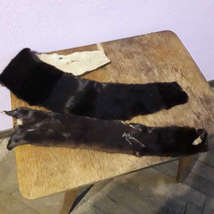 Хутро норки, шкурки.