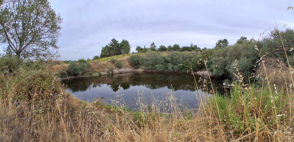 Terreno em São Miguel De Acha