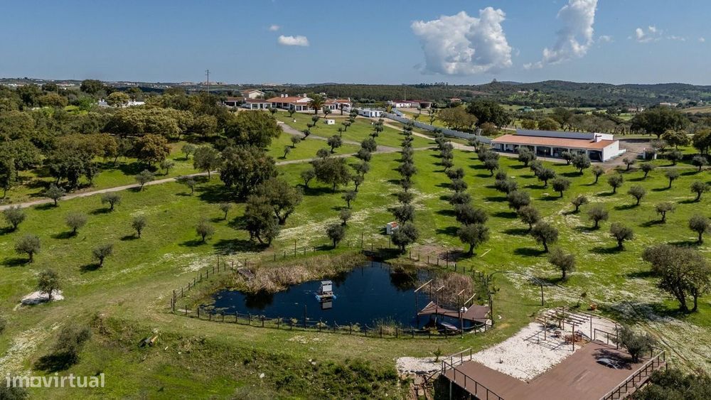 Monte da Pechincha: Herdade de Luxo com Olival e Turismo Rural em Estr