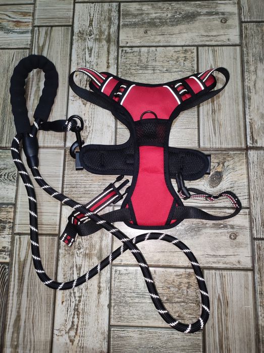 Повідок. Шлейка для собак