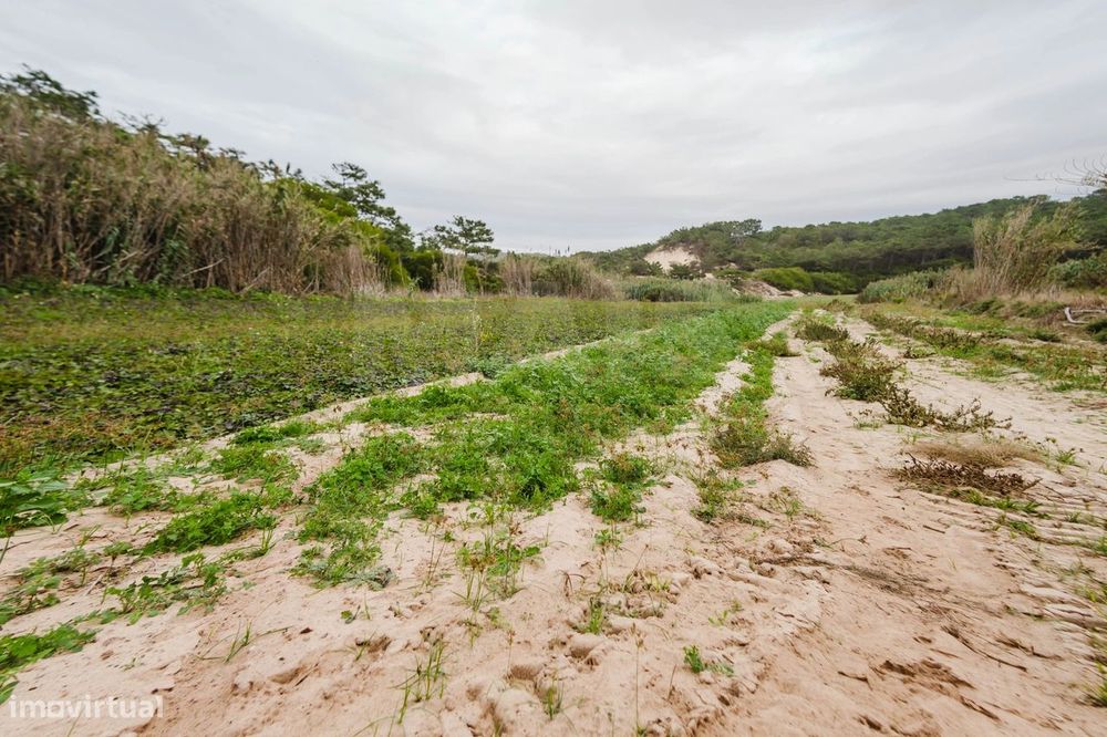 Terreno Rústico com 3.800 m² em Ferrel