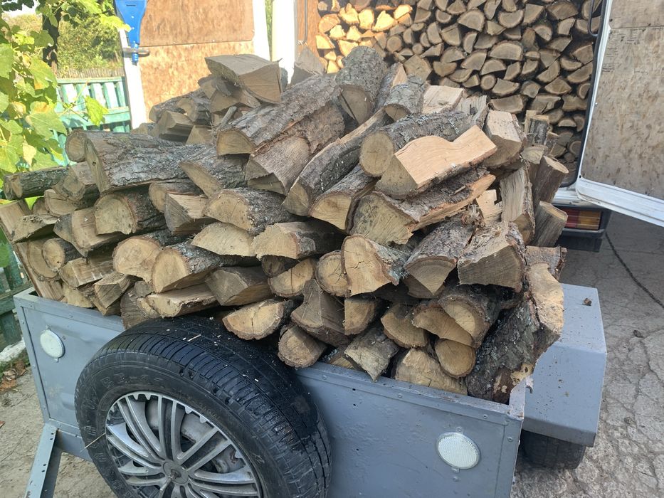 Соснові дрова 1300