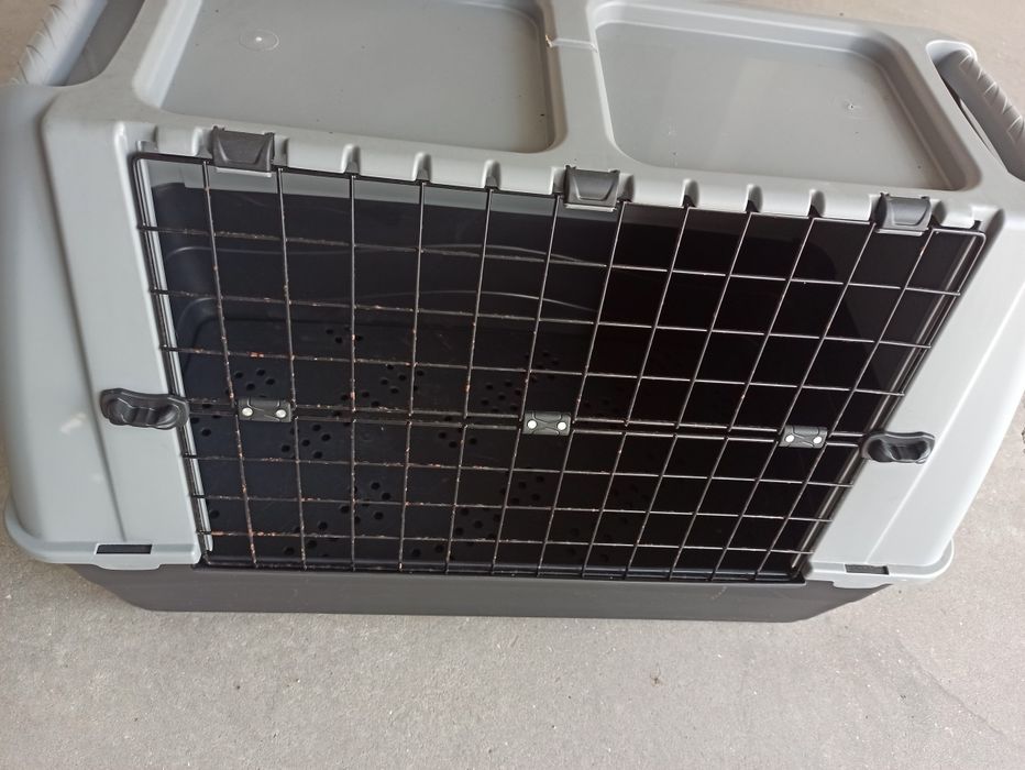 Transportadora Animais
