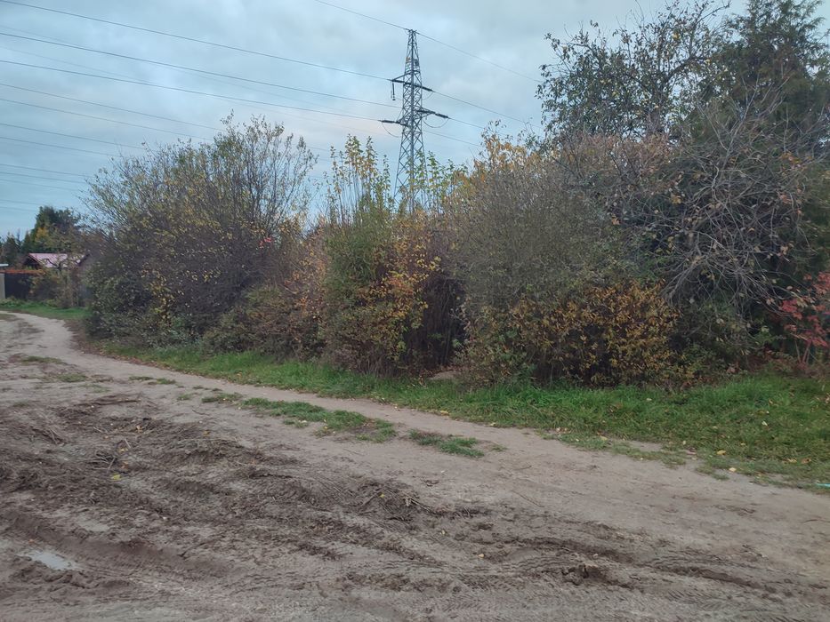 Usługi ogrodnicze /wycinka drzew/koszenie traw