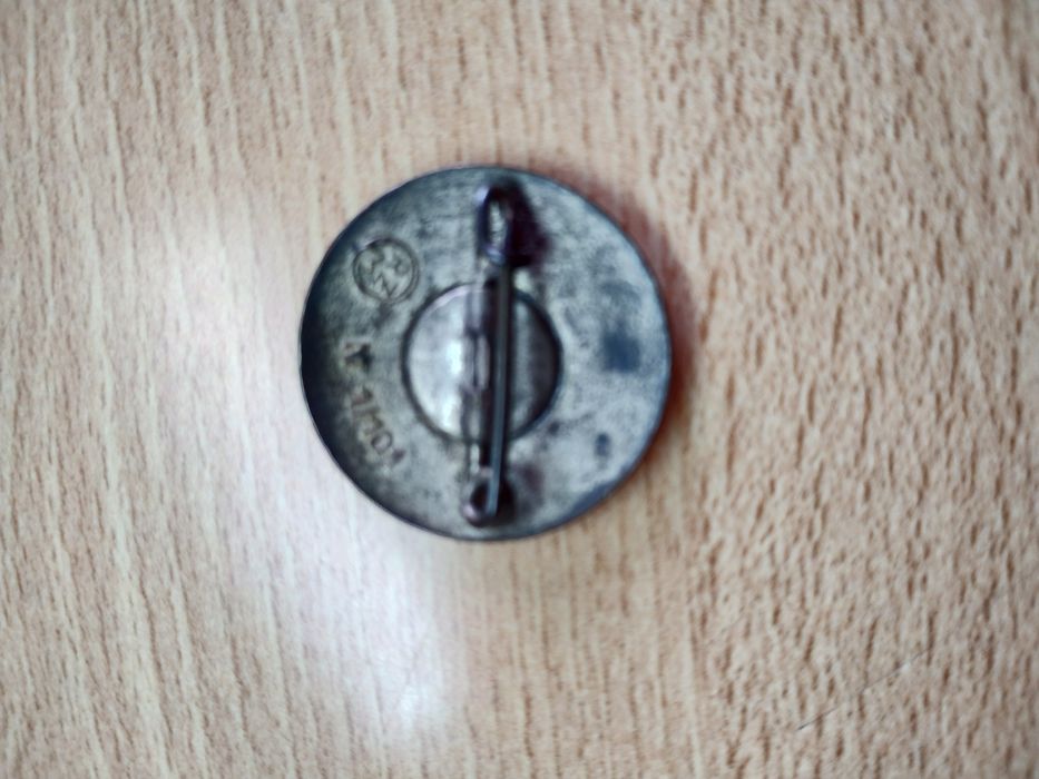 Pin national sozialistische