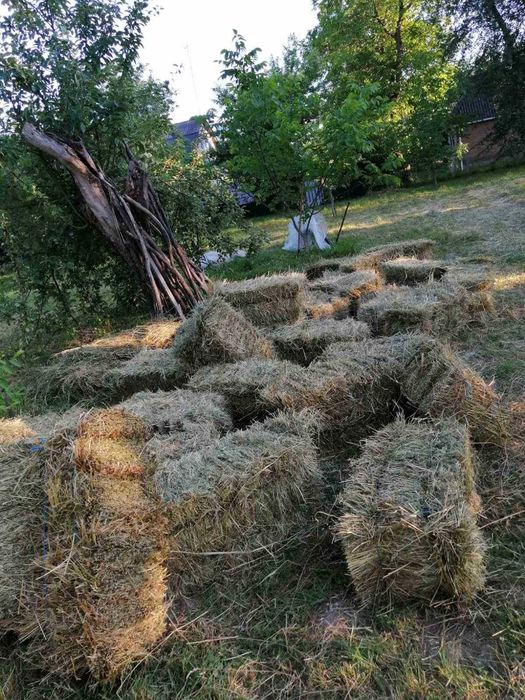 Продам сіно 2026р!!!