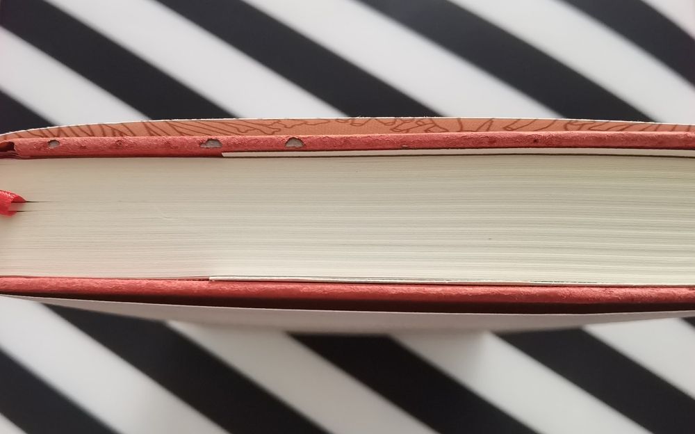 Belén Gopegui - O Pai da Branca de Neve