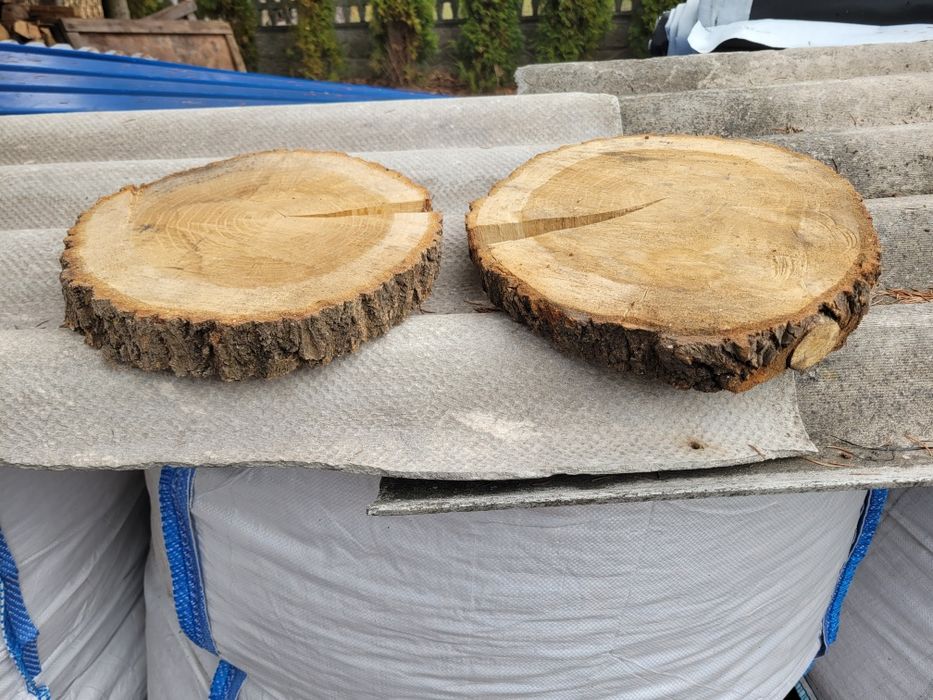 Plastry krążki dębowe bukowe 10-45cm