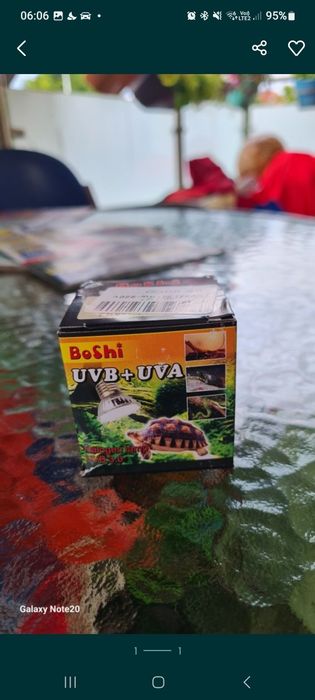 Zarowka dla zolwia