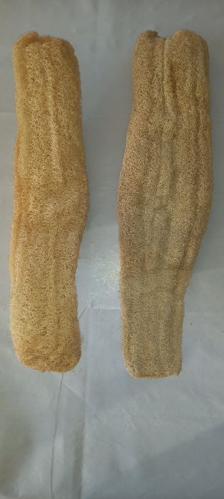 ESPONJAS Naturais do Mar Egeu