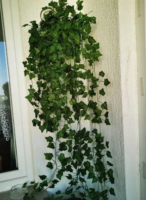 Sztuczny bluszcz dekoracja dom taras balkon ogród 50 metrów