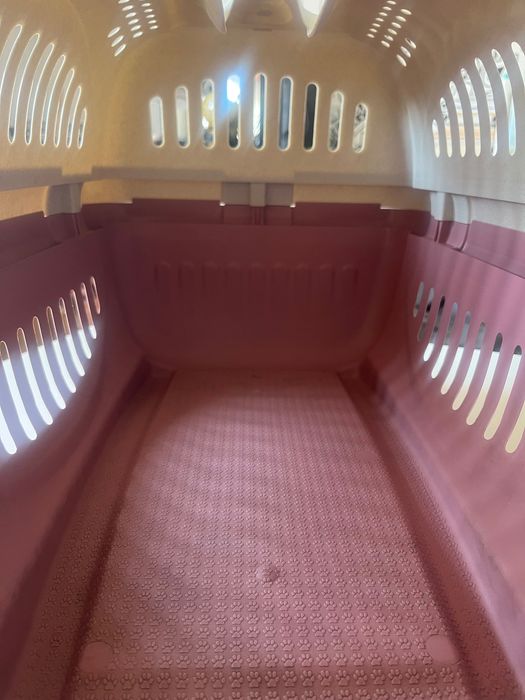 Transportadora de Gato Rhino