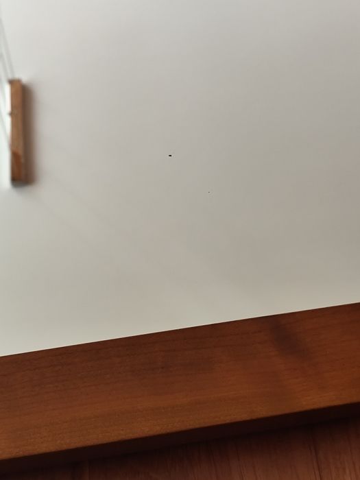 Espelho de Parede com Moldura em Madeira de Cerejeira Maciça444867771619747843
