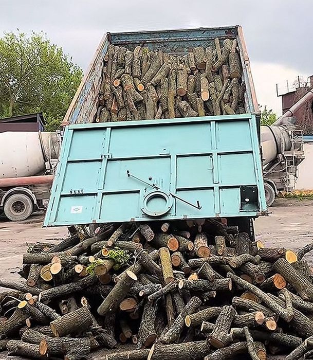 Дрова твердих порід