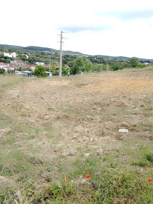 Terreno urbano Vale de Cavalos chamusca Santarém