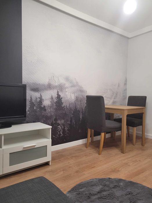 2 pokoje w centrum po remoncie!