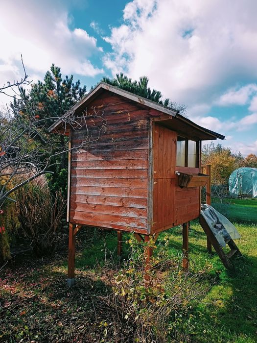 Domek dla dzieci na działkę