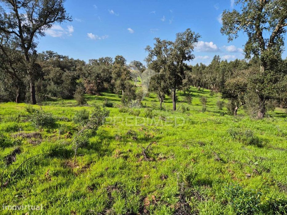 Terreno rústico no Alentejo – natureza, tranquilidade e potencial d...